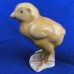 Bing & Grondahl BROWN CHICK 2.75" NEW Denmark #2144A Bing & Grondahl BROWN CHICK 2.75" NEW Denmark #2144A
