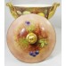 Coalport Covered Urn Pinter artist 7.25"  tall