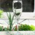 ALLEGRO by Lenox Crystal Champagne Flute 8.4" tall