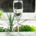 ALLEGRO by Lenox Crystal Champagne Flute 8.4" tall