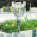 CLARITY by Lenox Wine 7" tall