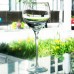 ETERNAL GOLD by Lenox Crystal Wine 7.75" tall
