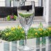 FIRELIGHT CLEAR by Lenox Flute Champagne 9.5" tall