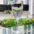 FIRELIGHT CLEAR by Lenox Iced Beverage 8.4" tall