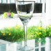 GRAMERCY GOLD by Lenox Crystal Champagne Flute 9"
