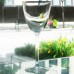 GRAMERCY GOLD by Lenox Crystal Champagne Flute 9"