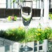 GRAMERCY GOLD by Lenox Crystal Goblet 8.4" tall