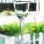 GRAMERCY GOLD by Lenox Crystal Goblet 8.4" tall
