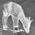 Lalique Fawn Frosted White NEW IN BOX  #30200 2.5" tall