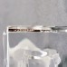 Lalique Fawn Frosted White NEW IN BOX  #30200 2.5" tall