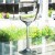 LIBERTY by Lenox Wine 7.25" tall