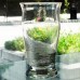 PRECIOUS METAL PLATINUM by Lenox Hi Ball / Tall Glass