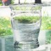 PRECIOUS METAL PLATINUM by Lenox Hi Ball / Tall Glass