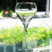 SILHOUETTE GOLD by Lenox Champagne Flute 9.75" tall