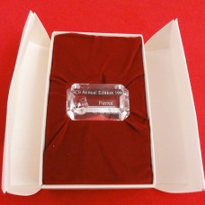 Swarovski Pierrot Annuel SCS 1999 Title Plaque