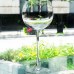 TUSCANY CLASSICS by Lenox Crystal Martini 8.8"
