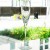 WINDSWEPT by Lenox Crystal Champagne Flute 9.5" tall