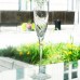 WINDSWEPT by Lenox Crystal Champagne Flute 9.5" tall