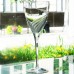 WINDSWEPT by Lenox Crystal Goblet 8.6" tall