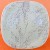 Block Langenthal Transition Cloud Grass Dinner Plate
