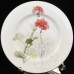 Block Spal Geranium 5 Piece Place Setting