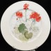 Block Spal Geranium Salad Plate