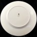CHARNWOOD by Wedgwood Dinner Plate 10.75"