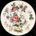 CHARNWOOD by Wedgwood Dinner Plate 10.75"