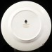 CHARNWOOD by Wedgwood Dinner Plate 10.75"