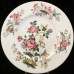 CHARNWOOD by Wedgwood Oval Platter 13.8" long