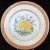CHRYSANTHEMEME by Haviland Limoges Dinner Plate 
