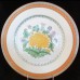 CHRYSANTHEMEME by Haviland Limoges Dinner Plate 