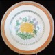 CHRYSANTHEMEME by Haviland Limoges Dinner Plate 