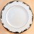 Coalport ADMIRAL Luncheon Plate 8.75" NEW England