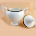 Coalport ZENITH Covered Sugar Bowl 5.5: tall NEW England