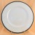 Coalport ZENITH Dinner 11" diameter NEW England