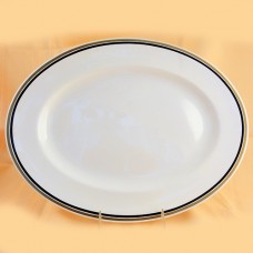 Coalport ZENITH Platter Oval 15.5" long NEW England