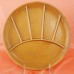 Denby Oak Apple Dinner Plate 10" diameter