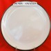 Denby Oyster Dinner Plate 10.75" diameter