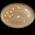 Denby Sandstone Platter 12.5" long