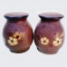 Denby Sandstone Salt & Pepper Set