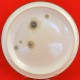Denby Smokestone Bloom Salad Plate 8.75"