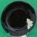 Fitz & Floyd Midnight Poppy 5pc Place Setting