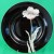 Fitz & Floyd Midnight Poppy Rim Soup 9.25" diameter