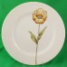 Fitz & Floyd Pastel Poppy 5 Piece Place Setting