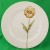 Fitz & Floyd Pastel Poppy Dinner Plate 10.25"