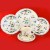 Gien Oiseaux de Paradis 5 Piece Place Setting