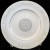 GRIFFONS by Wedgwood Bread & Butter Plate