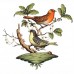 Herend Rothschild Bird Motif 3 Stock list OSIER SHAPE