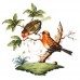 Herend Rothschild Bird Motif 9 Stock list OSIER SHAPE